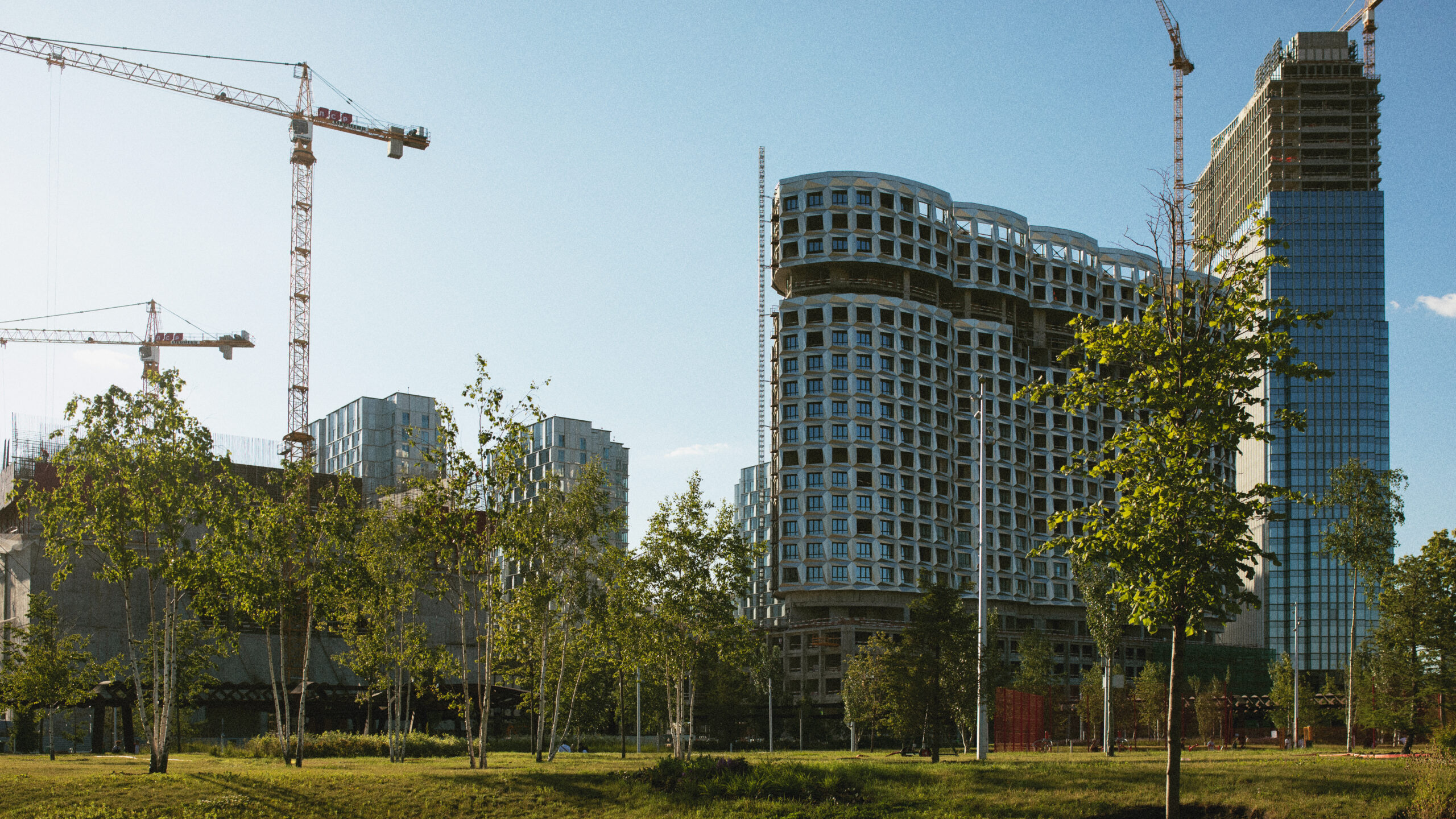 analog-city-landscape-with-buildings-daylight (1)